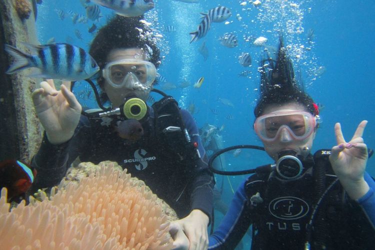 オプショナルツアー「やさしいボート2ダイブ(ランチ付き)【JRまたはSCUBA以上】」の写真
