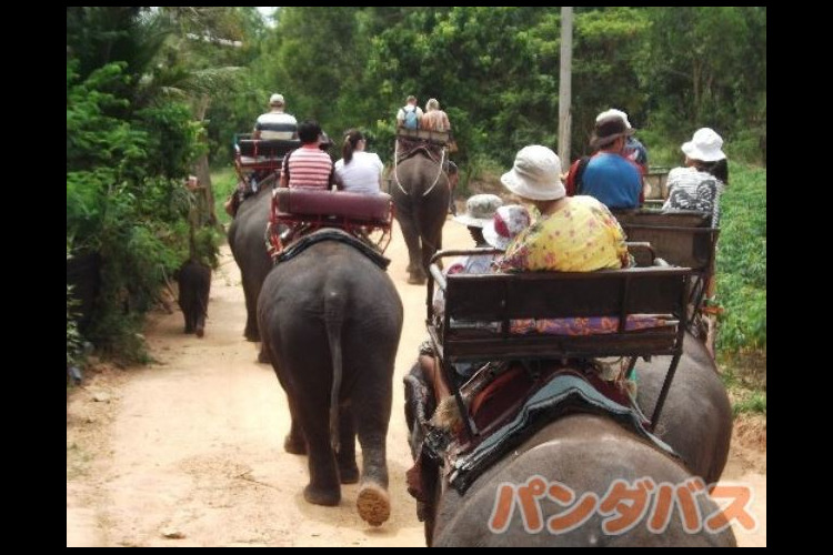 バンコク おすすめ現地オプショナルツアー アクティビティ予約
