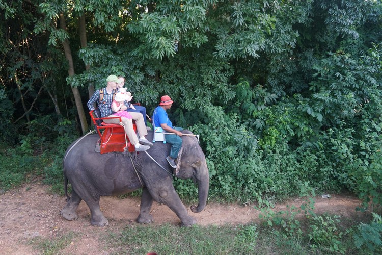 バンコク 予約 カンチャナブリー鉄道 遺跡 象乗りツアー プライベートツアー