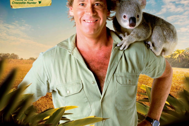 ブリスベン 予約 オーストラリア動物園 入場券 ブリスベン発シャトルバス