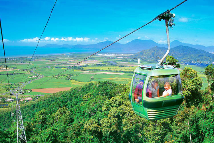 ケアンズ グレートバリアリーフ 予約 ノーザンビーチ パームコーブ 発 キュランダ鉄道 スカイレール キュランダフリープラン 滞在時間選択 送迎付