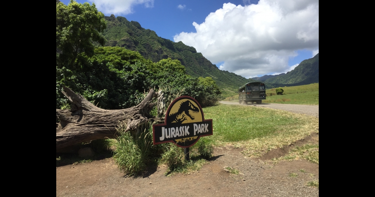 オアフ島 ホノルル 予約 絶景クアロア牧場を大冒険 映画ロケ地にジャングル探検など 選べる4コースツアー